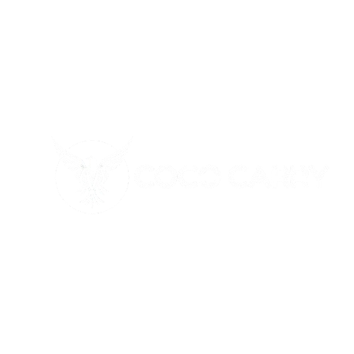 cococarry.com